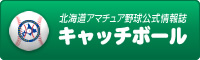 �k�C���A�}�`���A�싅������� �L���b�`�{�[��